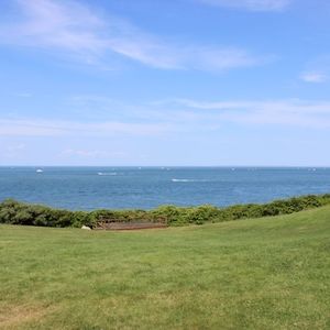 Meet your Posher, Wali